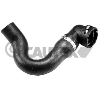 Durite de radiateur CAUTEX 753279
