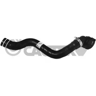 Durite de radiateur CAUTEX 753289