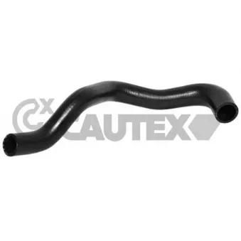 Durite de radiateur CAUTEX 753344