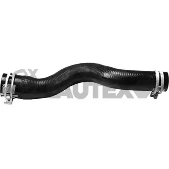 Durite de radiateur CAUTEX 753381