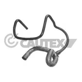 Durite de radiateur CAUTEX 753478