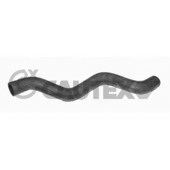 Durite de radiateur CAUTEX 753506