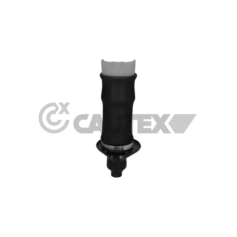 Ressort pneumatique, châssis CAUTEX 753508