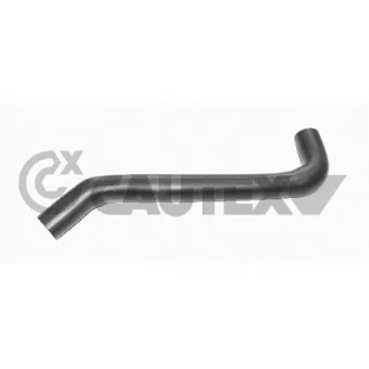 Durite de radiateur CAUTEX 753538