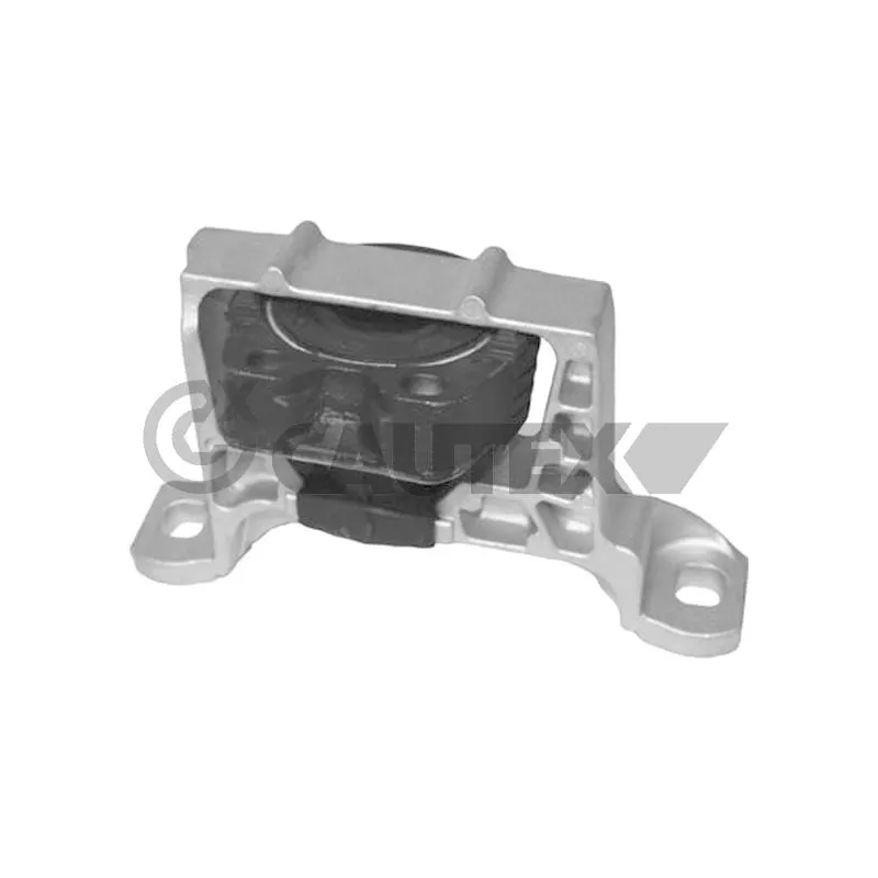 Support moteur CAUTEX 753544