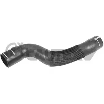 Durite de radiateur CAUTEX 753546