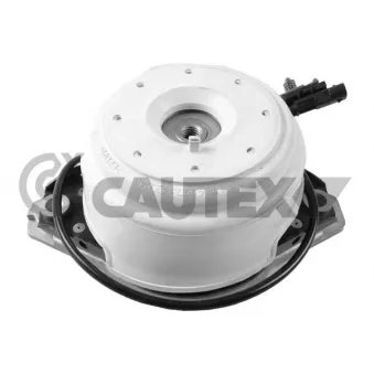 Support moteur avant gauche CAUTEX 753569