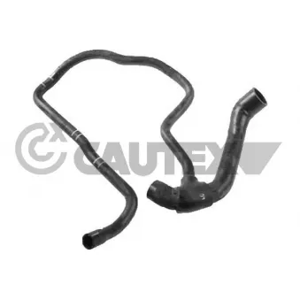Durite de radiateur CAUTEX 753642