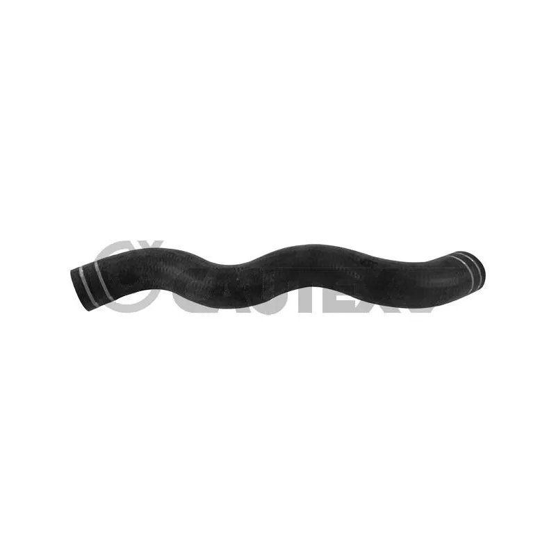 Durite de radiateur CAUTEX 753698