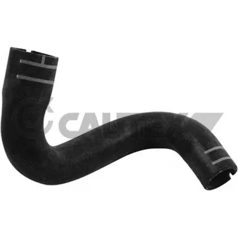 Durite de radiateur CAUTEX