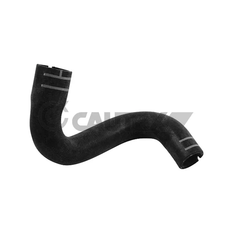 Durite de radiateur CAUTEX 753704