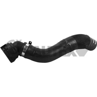 Durite de radiateur CAUTEX 753719