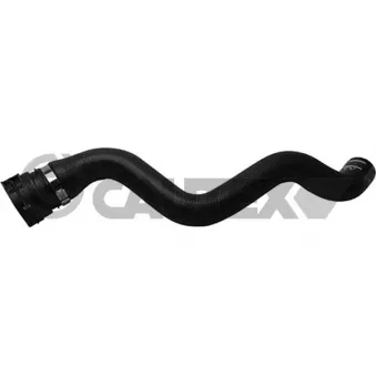 Durite de radiateur CAUTEX 753732