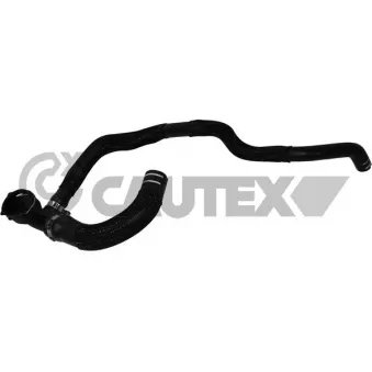 Durite de radiateur CAUTEX 753753