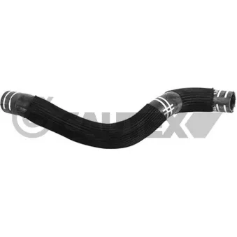 Durite de radiateur CAUTEX 753754
