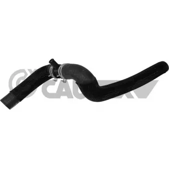 Durite de radiateur CAUTEX 753767