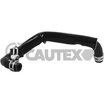 Durite de radiateur CAUTEX 753815