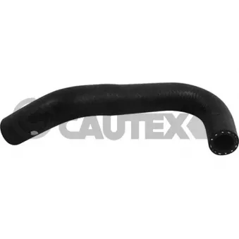 Durite de radiateur CAUTEX 753826
