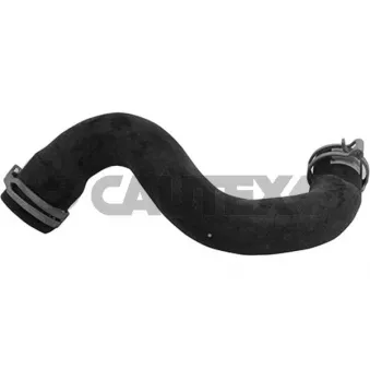 Durite de radiateur CAUTEX 753863