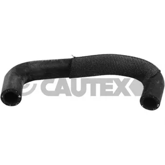 Durite de radiateur CAUTEX 753884