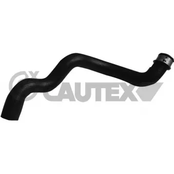 Durite de radiateur CAUTEX 753905