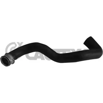 Durite de radiateur CAUTEX 753906