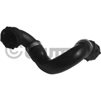Durite de radiateur CAUTEX 753921