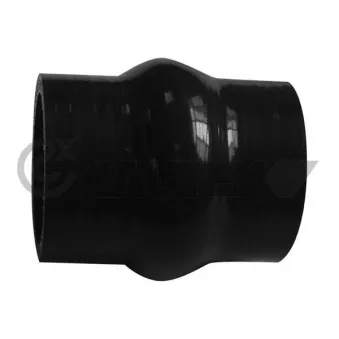 Durite de radiateur CAUTEX 753964
