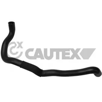 Durite de radiateur CAUTEX 754022