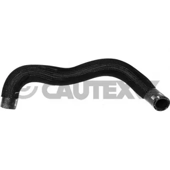 Durite de radiateur CAUTEX 754034