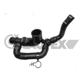Durite de radiateur CAUTEX 754133