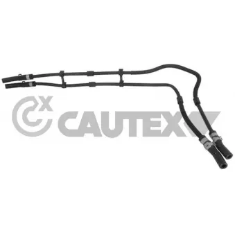 Durite de radiateur CAUTEX 754398