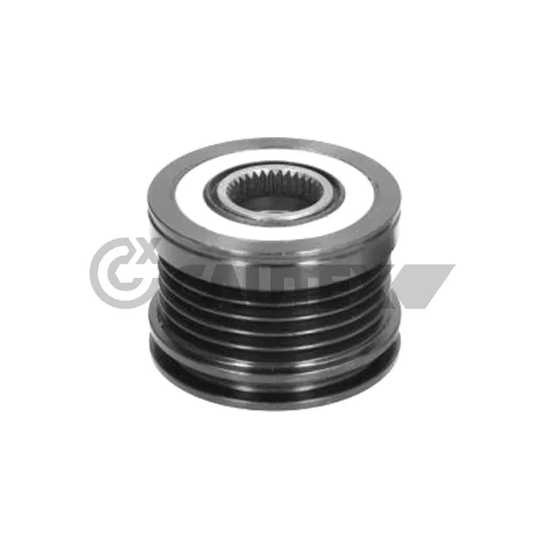 Poulie roue libre, alternateur CAUTEX 754690