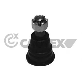 Rotule de suspension CAUTEX 755034