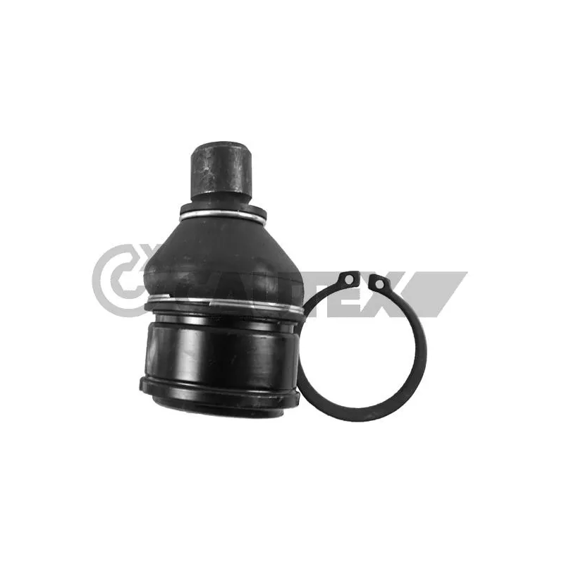 Rotule de suspension CAUTEX 755067
