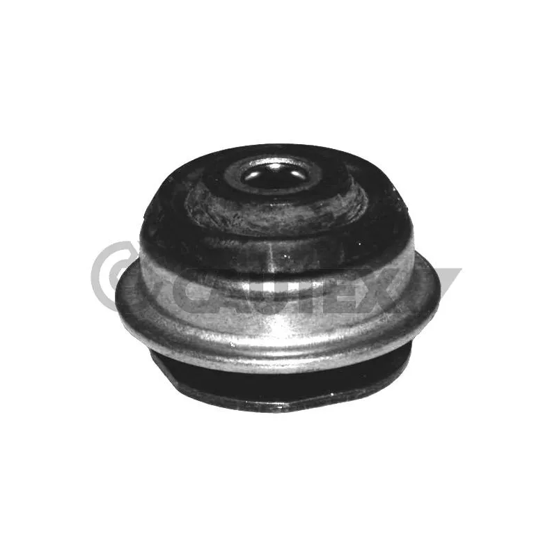 Suspension, corps de l'essieu CAUTEX 755399