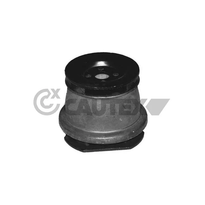 Suspension, corps de l'essieu CAUTEX 755400