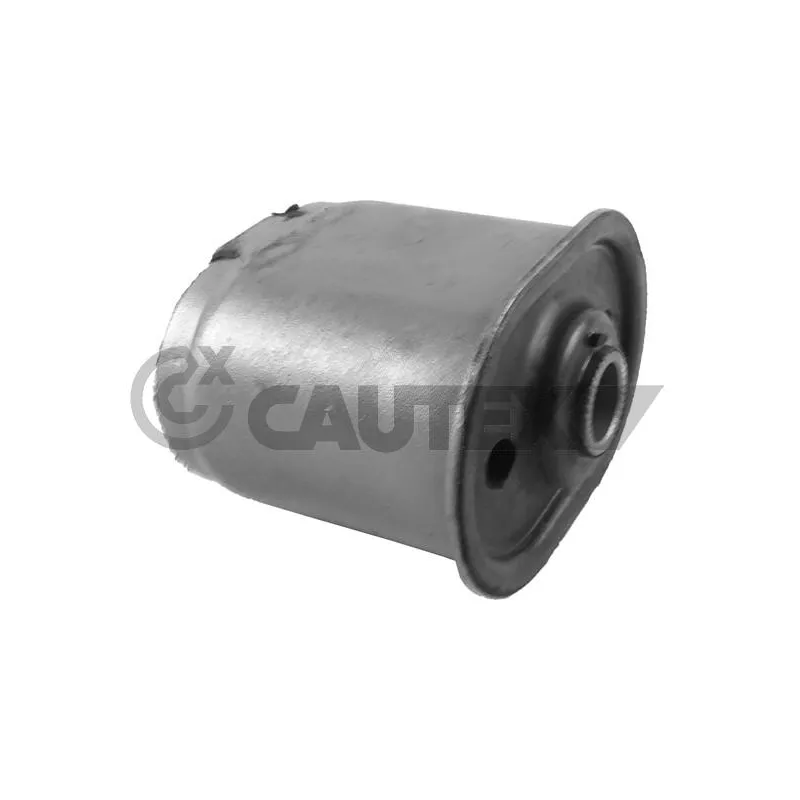 Suspension, corps de l'essieu CAUTEX 755594