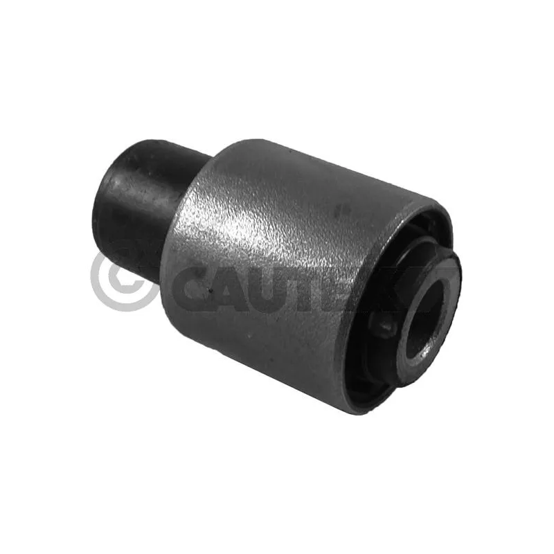 Suspension, corps de l'essieu CAUTEX 755614