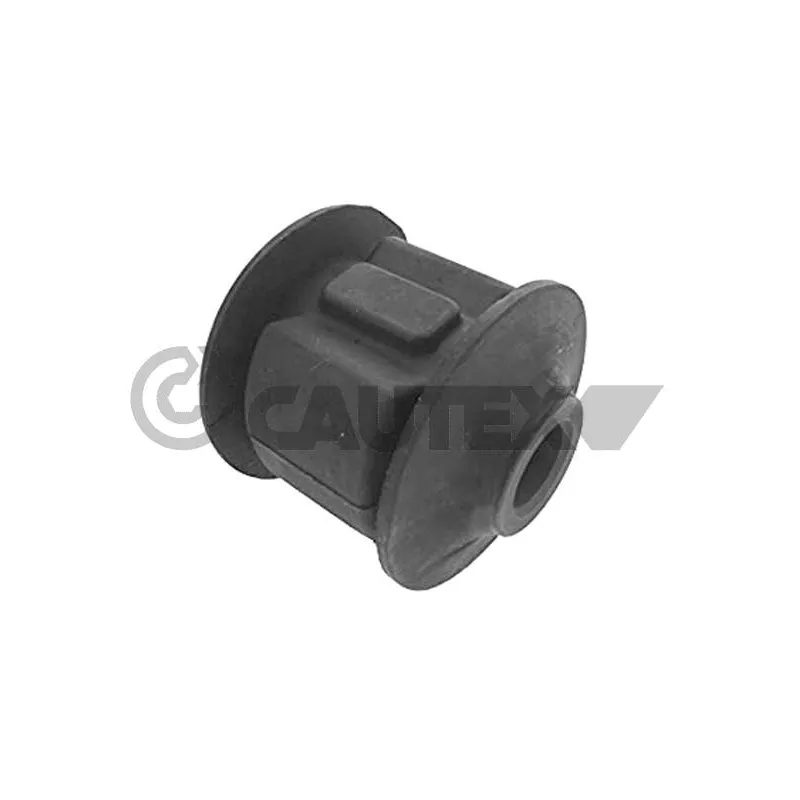 Suspension, corps de l'essieu CAUTEX 755629