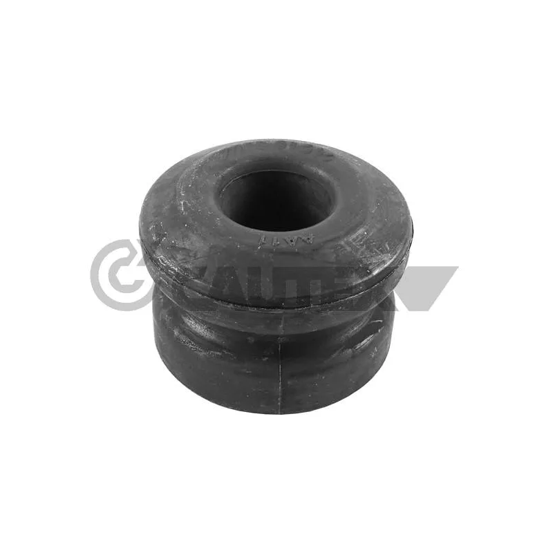 Suspension, corps de l'essieu CAUTEX 755631