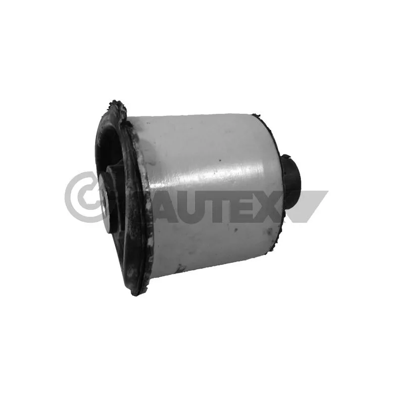 Suspension, corps de l'essieu CAUTEX 755655