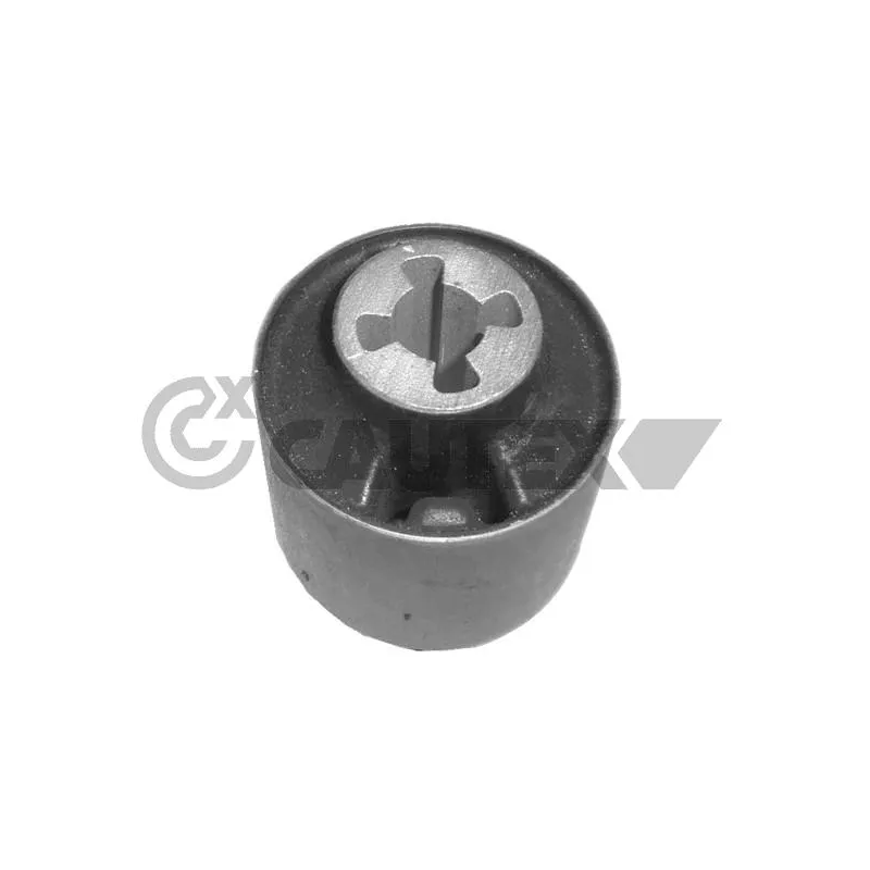 Suspension, corps de l'essieu CAUTEX 755673