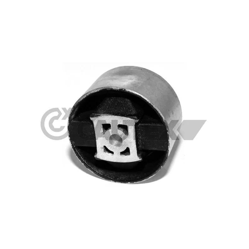 Support moteur CAUTEX 755696