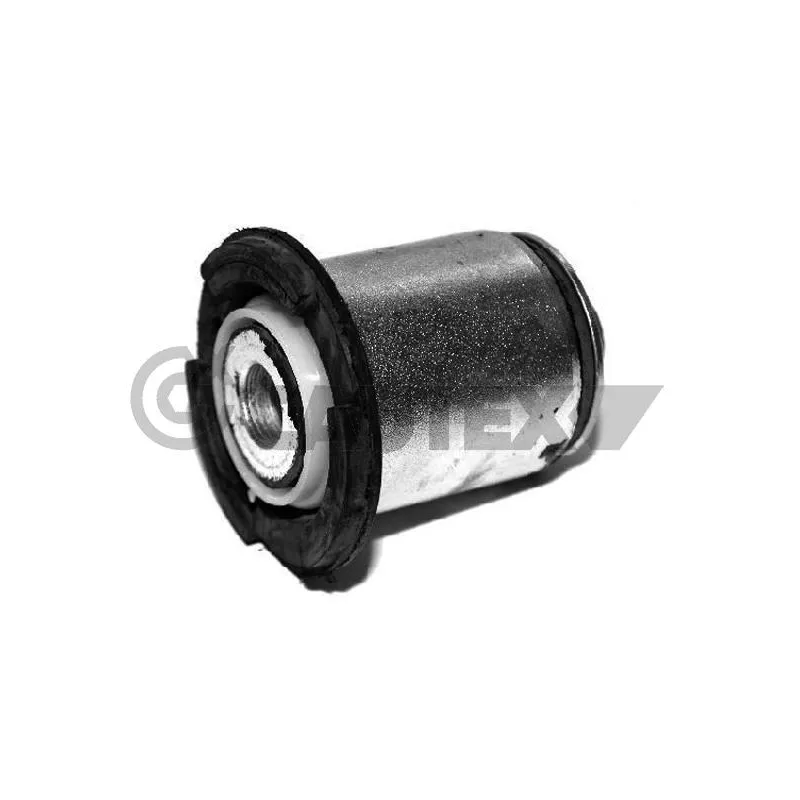 Suspension, corps de l'essieu CAUTEX 755699