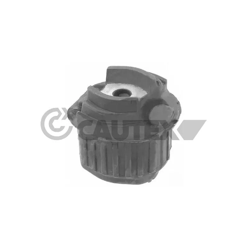 Suspension, corps de l'essieu CAUTEX 755703