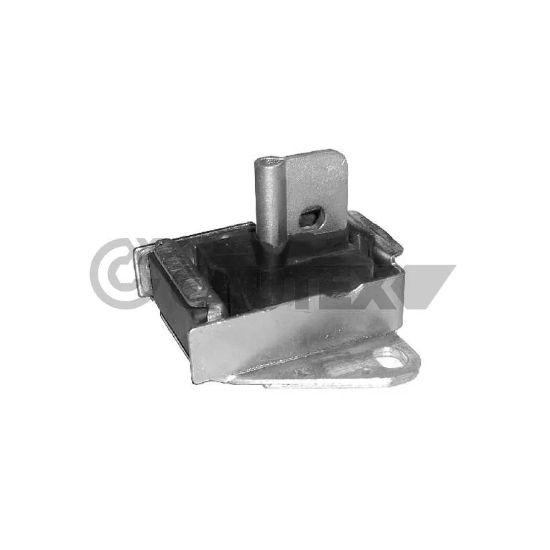 Support moteur CAUTEX 755917