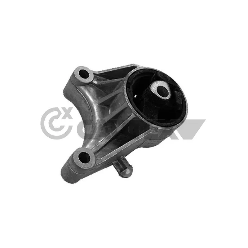 Support moteur CAUTEX 755964