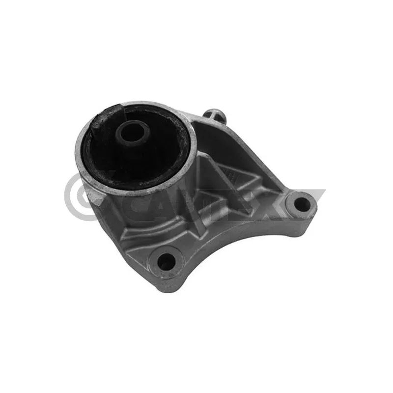 Support moteur CAUTEX 755965