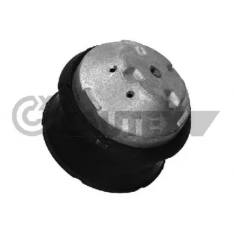 Support moteur CAUTEX 755971
